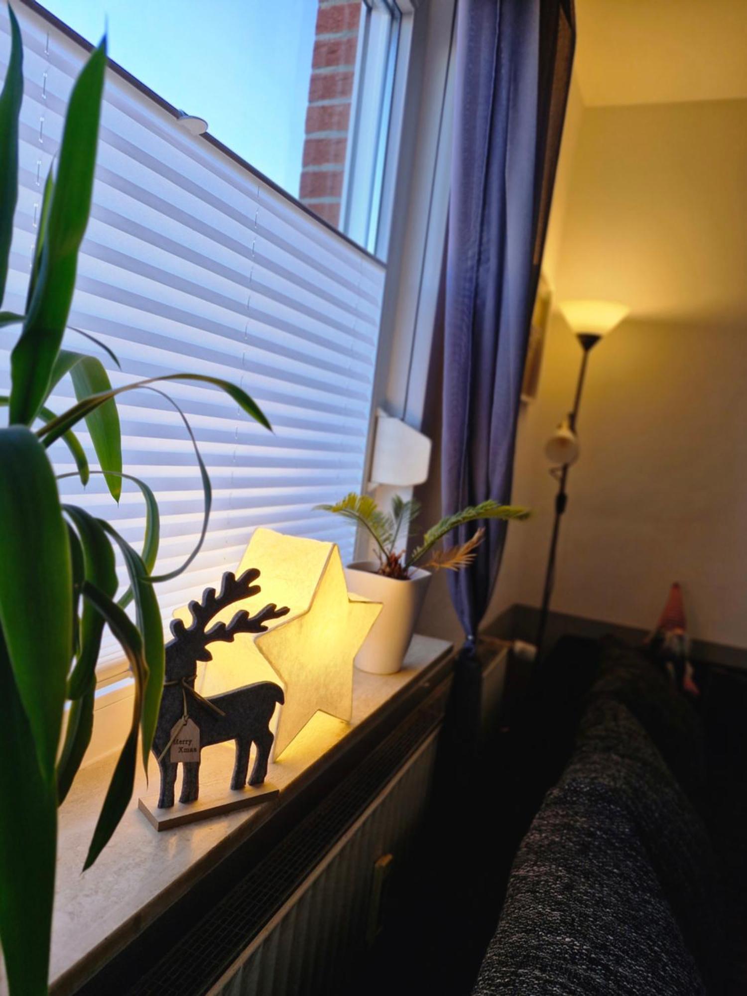 Apartment Mit Garten Bad Lauterberg Extérieur photo